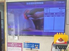 -宠爱国际动物医院·疑难骨科·心肾内科·皮肤科(太阳宫店)