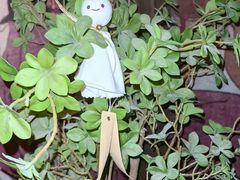 -NINES推理馆·实景侦探推理剧MIXPLAY(静安店)