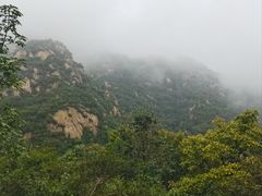 -大岭沟猕猴桃谷风景区