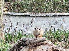 -杭州动物园