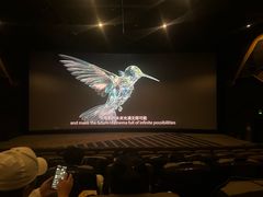 -北京英嘉国际影城(金源CINITY店)