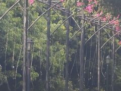 -月亮湾公园