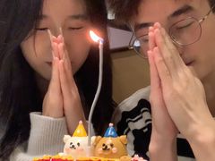 -芒果与甜纯动物奶油蛋糕&甜品台定制