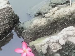 -飞来湖湿地公园