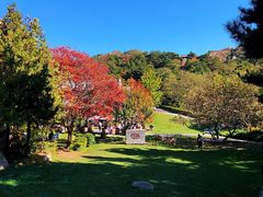 -云峰山自然风景区