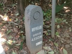 -梧桐山风景名胜区