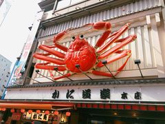 -蟹道乐(道顿堀本店)
