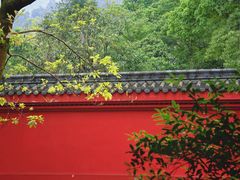 -峨眉山报国寺