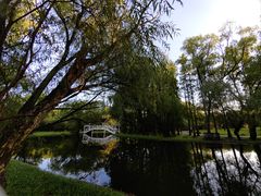 -上海共青森林公园