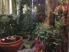 -猫色咖啡·猫咖