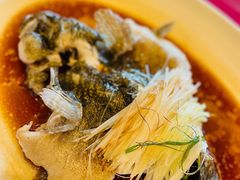 古法蒸石斑-利苑酒家(金宝店)