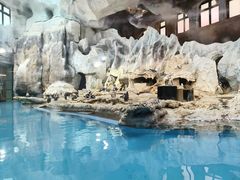 -帝企鹅自助餐厅•儿童岛•真企鹅(长隆企鹅酒店)