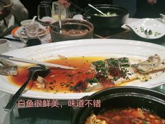 鸡汁长江嫩白鱼-小厨娘淮扬菜(天印大道店)