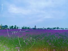 -武汉紫薇都市田园