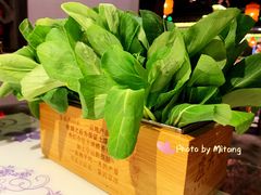 生烫鸡毛菜-卢大鲜鱼头捞饭(美利广场店)