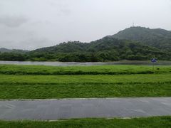 -风云岭森林公园