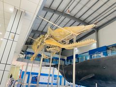 -上海海洋大学鱼文化博物馆(军工路校区)