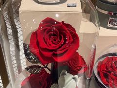 -ROSEONLY诺誓(磐基中心店)