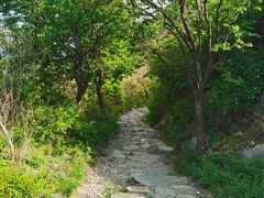 -阳台山自然风景区