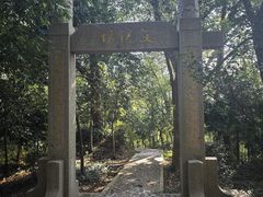 -上海佘山国家森林公园天马山园