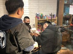 -Goku PET SHOP宠物视觉生活馆(双井店)