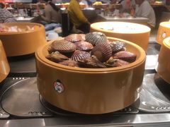 -龍歌自助小火锅(城阳万象汇店)