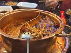 -镇江龙·火锅串串(武侯祠店)