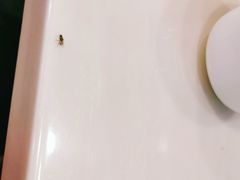 -八方客汕头火锅·牛肉·卤水(福保店)