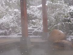 -天目湖御水温泉·度假酒店