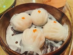 晶莹鲜虾饺-点点心港式茶餐厅(南京西路店)