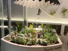 -春树下·树屋花房西餐厅(罍街AS1980店)