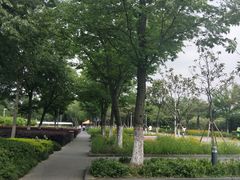 -白塘生态植物园