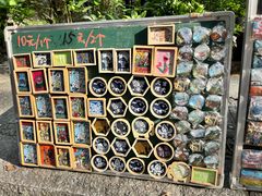 -蓝壁虎咖啡酒馆