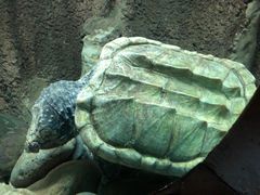 -太平洋海底世界