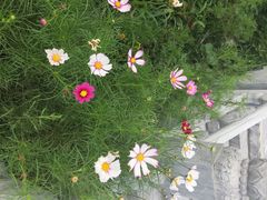 iphone_upload_pic-定都峰