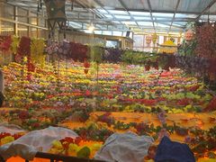 -吉祥圣雪藏餐
