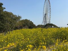 -蠡湖大桥公园