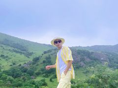 -大姆山草场