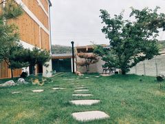 -五龙城郊森林公园