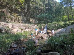 -素山寺森林公园