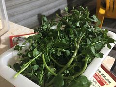 -顺德哥卜卜贝(旗舰店)