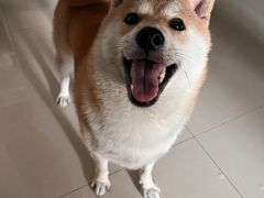 -美联众合动物医院(唯恩分院)