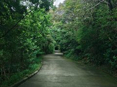 -小南山公园