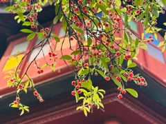 -东山雕花楼