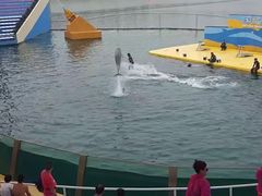 -秦皇岛乐岛海洋王国