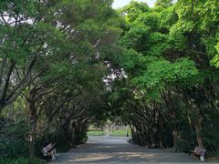 -深圳国际园林花卉博览园