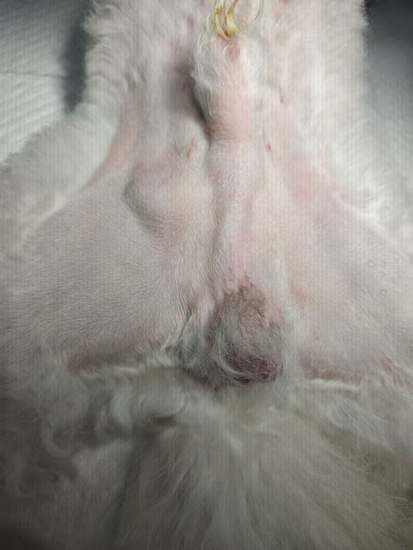 放大镜找🥚🥚