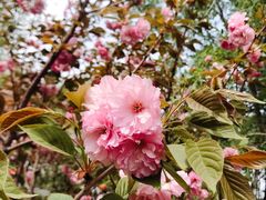 -长白岛森林公园