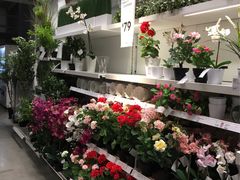 -宜家家居(西安未央商场店)