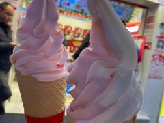 -蜜雪冰城·冰淇淋与茶(长郡中学店)